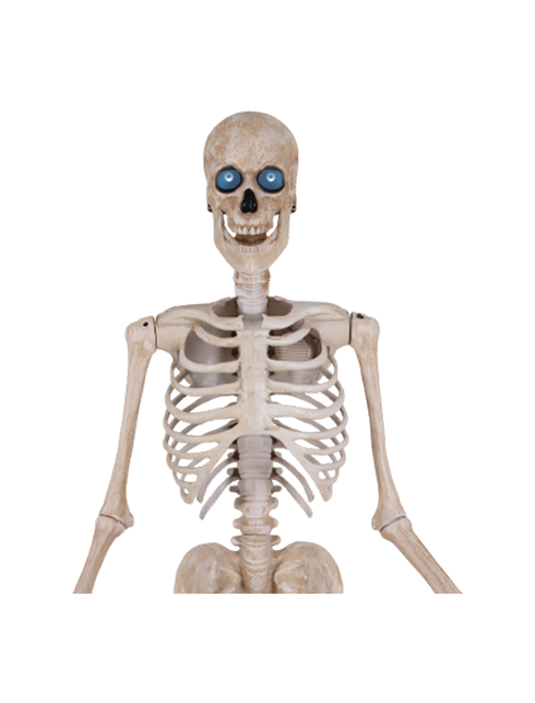 Bone Daddy™