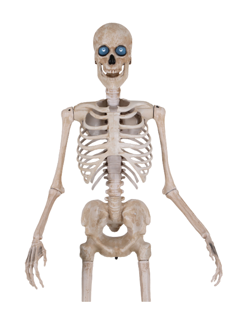 Bone Daddy™