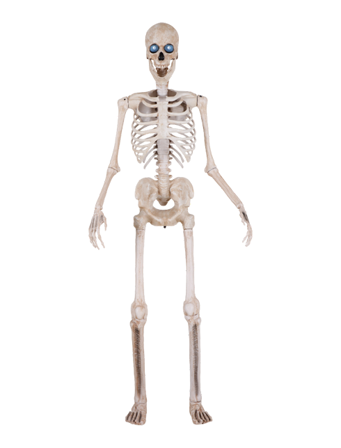 Bone Daddy™