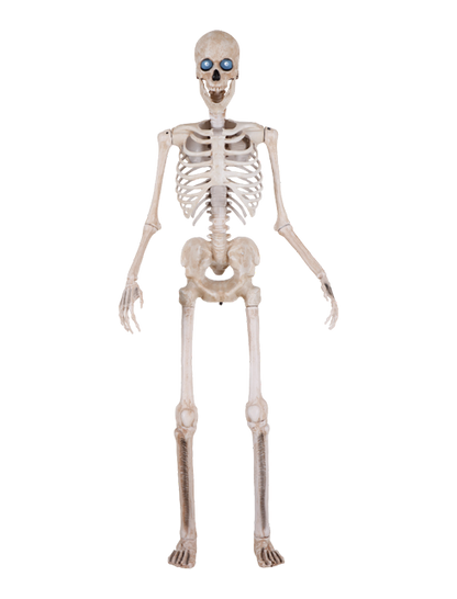Bone Daddy™