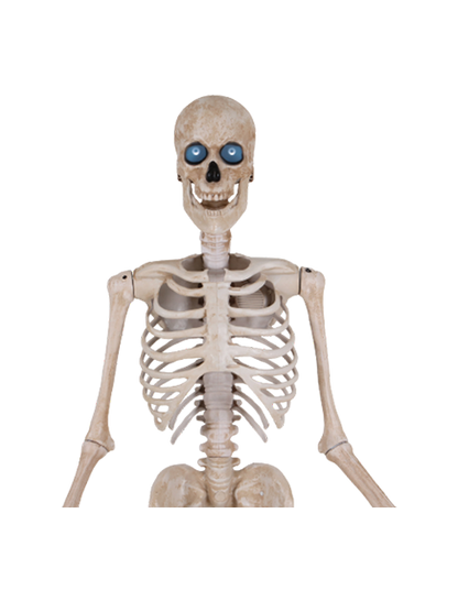 Bone Daddy™