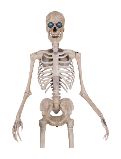 Bone Daddy™