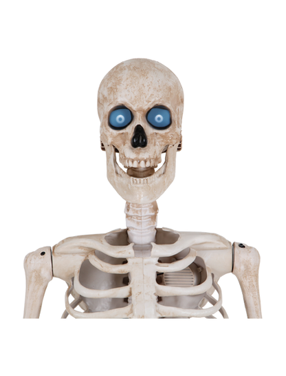 Bone Daddy™